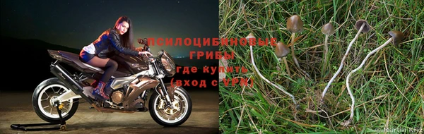 альфа пвп Бугульма
