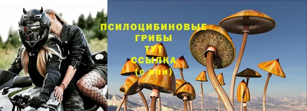 spice Бронницы