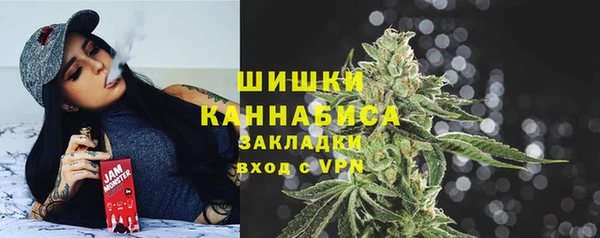 таблы Бородино